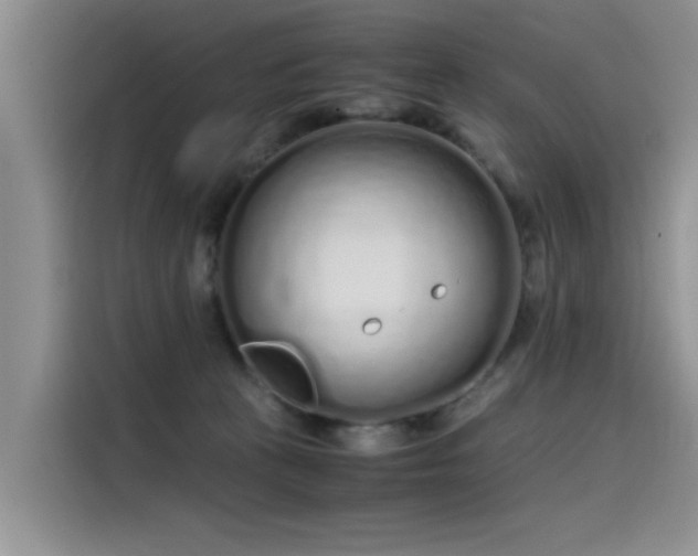 X0000115620273200911171322