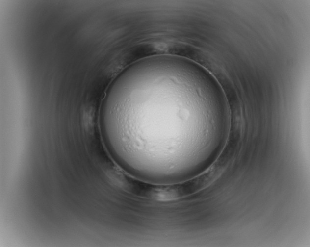 X0000115620275200911171322