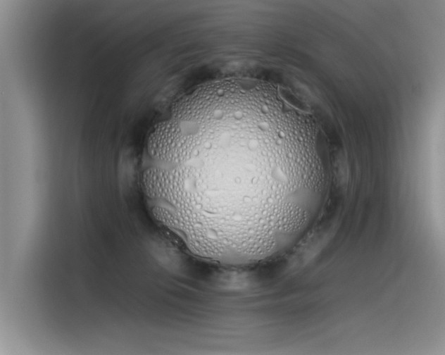 X0000115620276200911171322