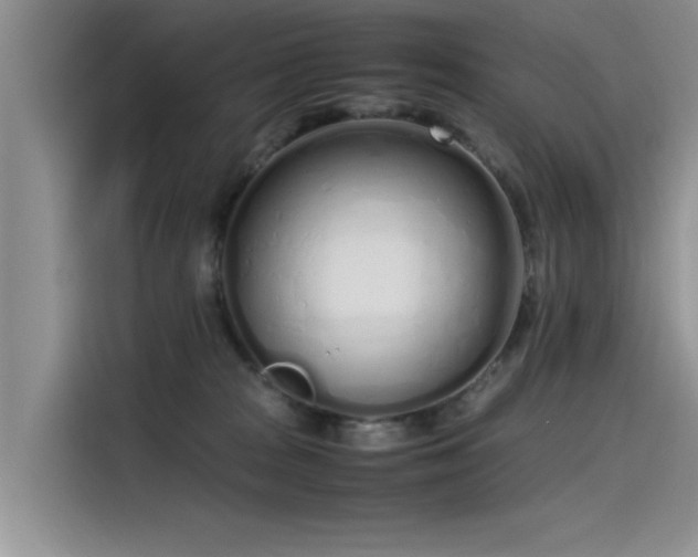 X0000115620277200911171322