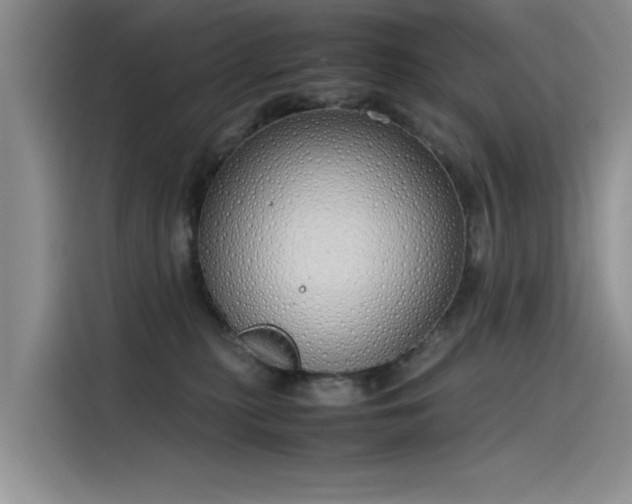 X0000115620279200911171322