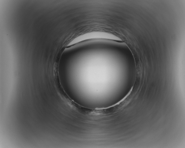 X0000115620280200911171322