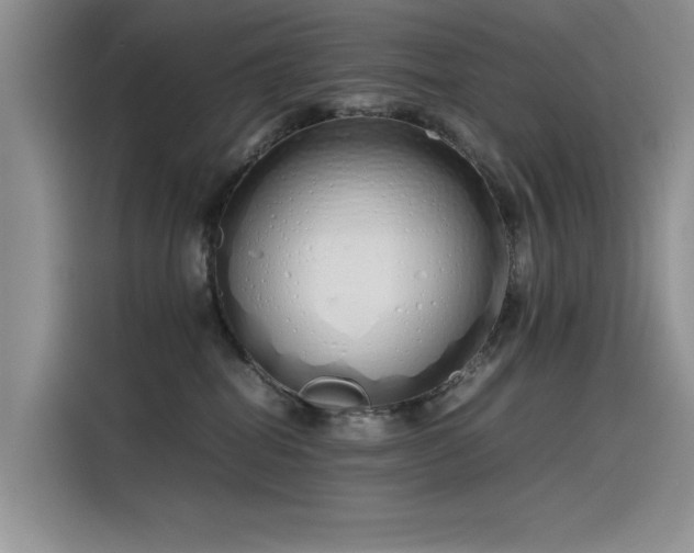 X0000115620282200911171322