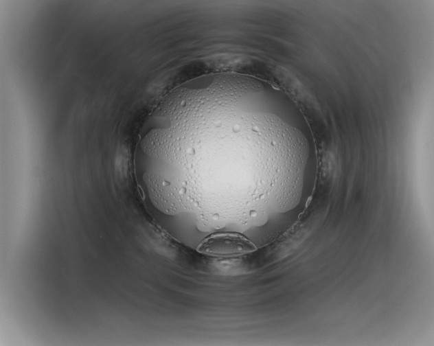 X0000115620283200911171322