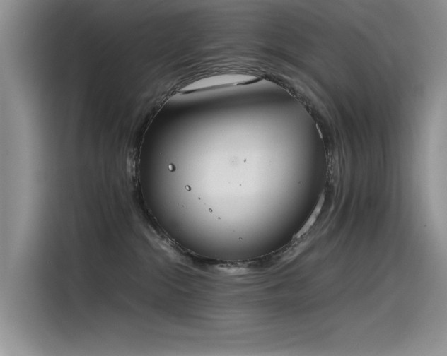 X0000115620284200911171322