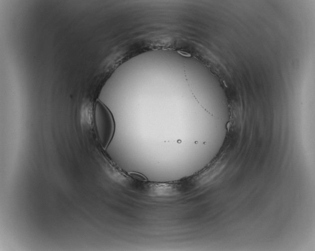 X0000115620287200911171322