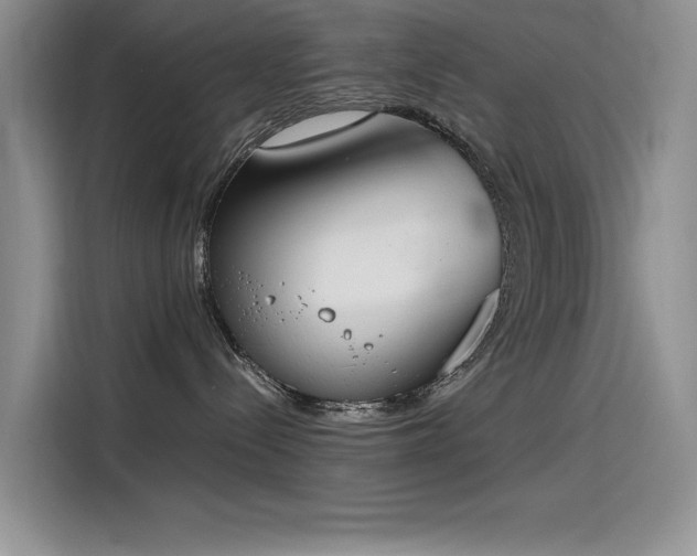 X0000115620288200911171322