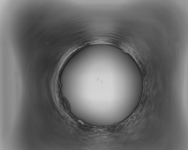 X0000115620289200911171321