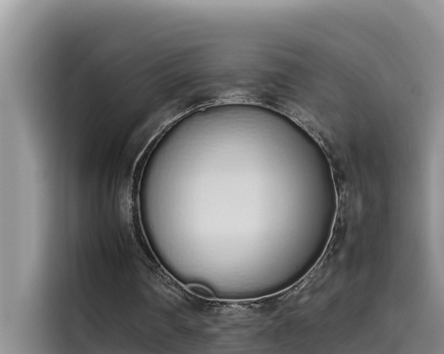 X0000115620290200911171321