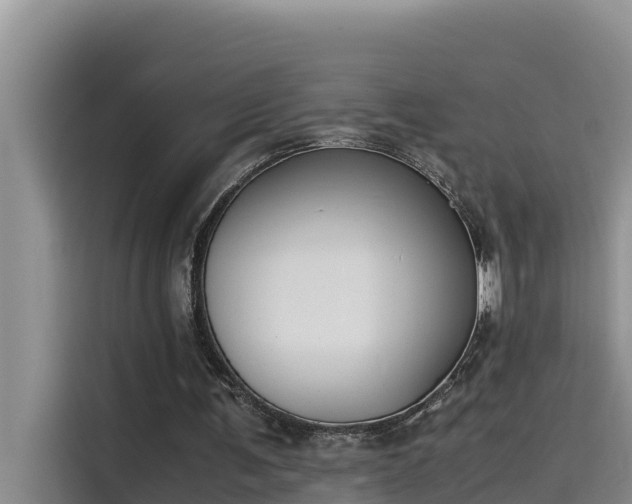 X0000115620291200911171321