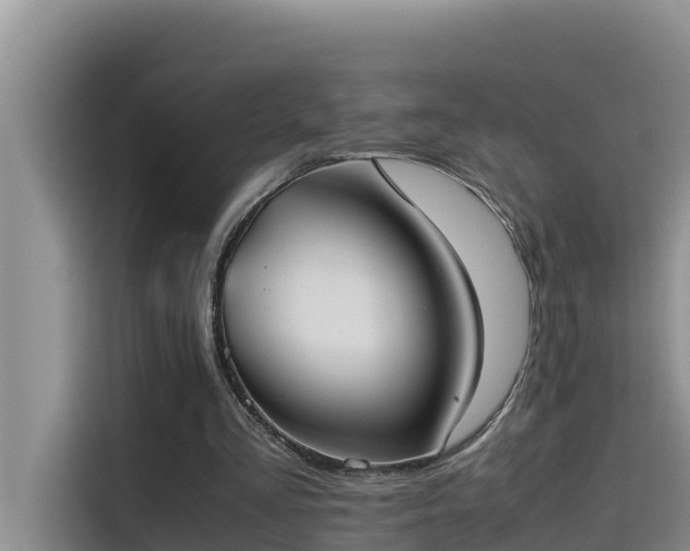 X0000115620293200911171321