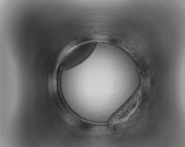 X0000115620294200911171321