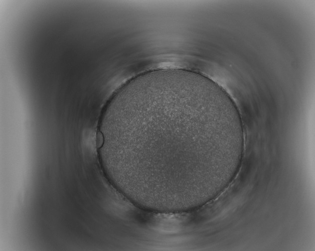 X0000115620297200911171321