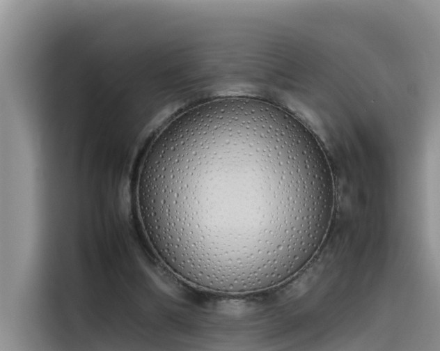 X0000115620298200911171321