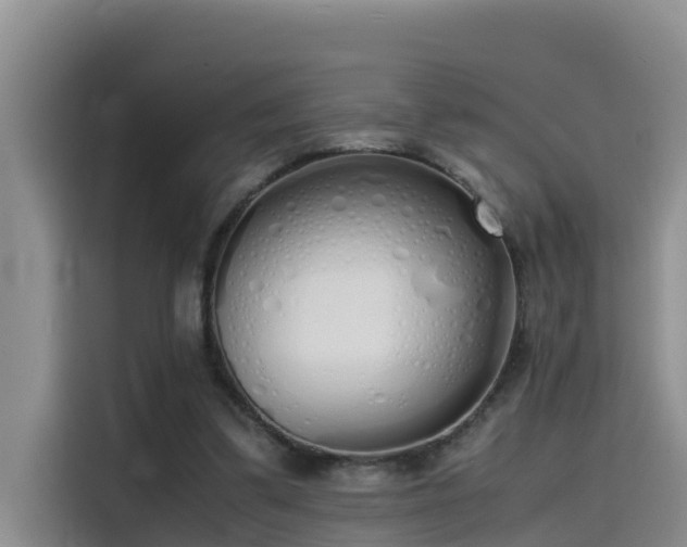 X0000115620299200911171321