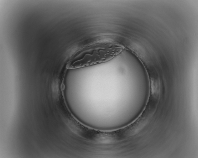 X0000115620300200911171321