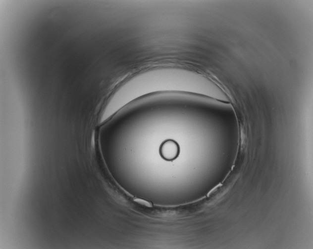 X0000115620301200911171321