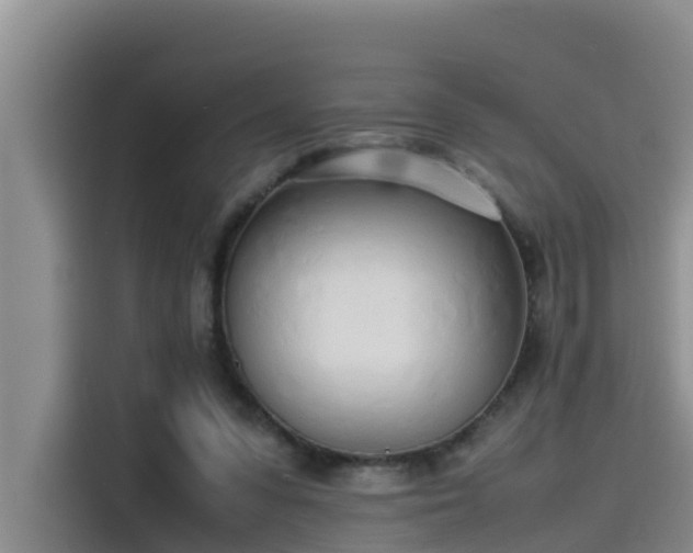 X0000115620303200911171321