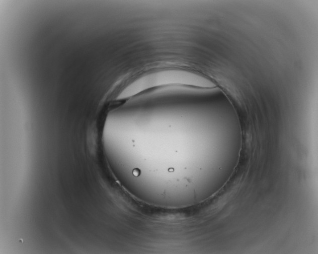 X0000115620304200911171321