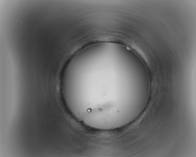 X0000115620305200911171321