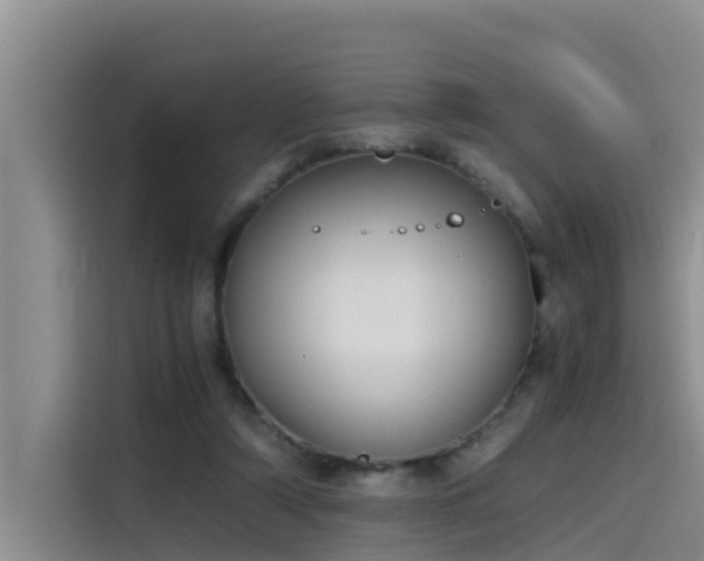 X0000115620306200911171321