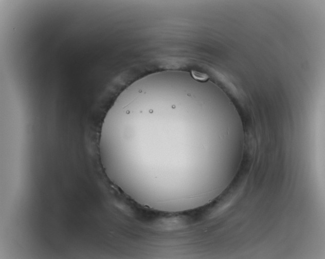 X0000115620307200911171321