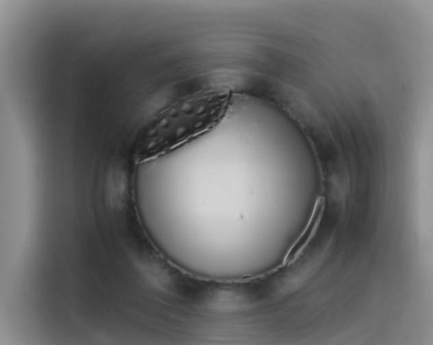 X0000115620308200911171321