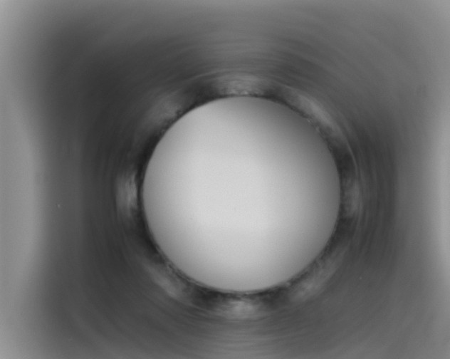 X0000115620310200911171321