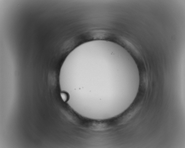 X0000115620311200911171321