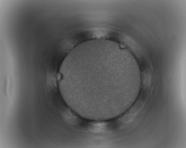 X0000115620313200911171321