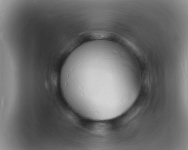 X0000115620315200911171321