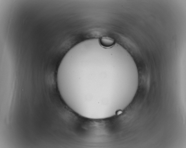 X0000115620317200911171321