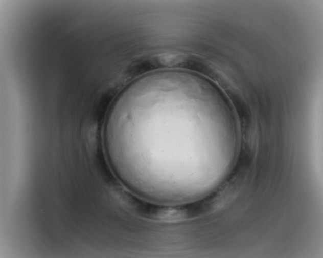 X0000115620319200911171321