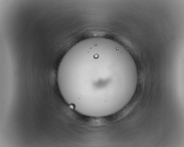 X0000115620321200911171321