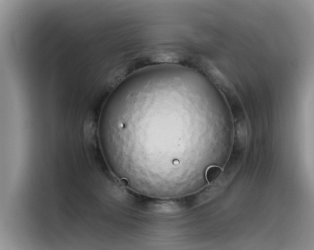 X0000115620322200911171321