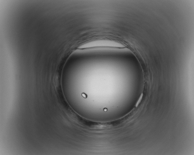 X0000115620323200911171321