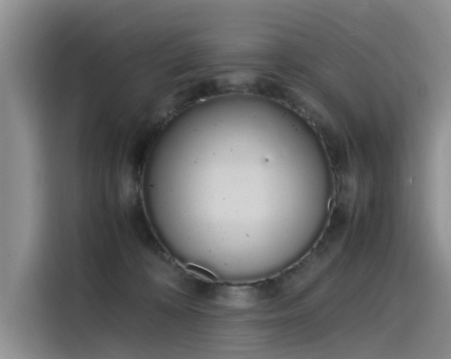 X0000115620324200911171321