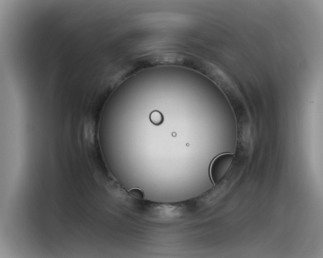 X0000115620326200911171321