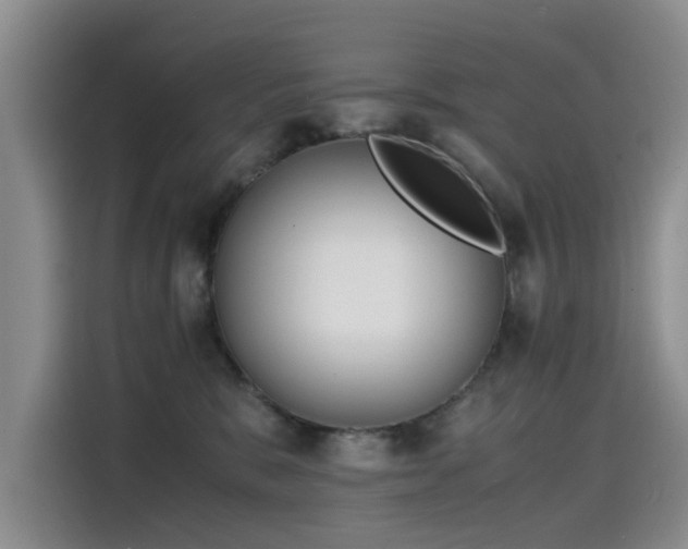 X0000115620327200911171321