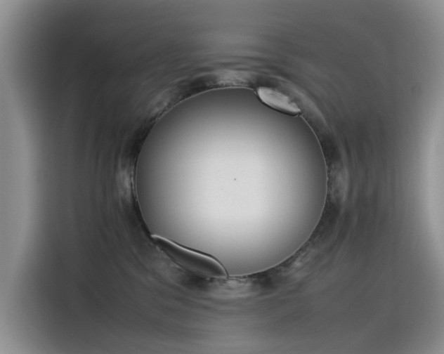 X0000115620329200911171321