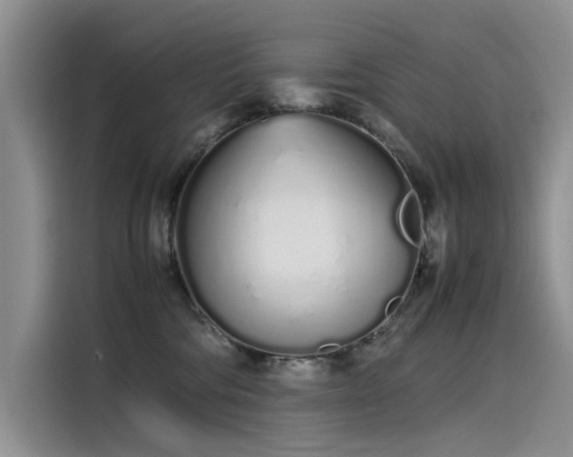 X0000115620330200911171321