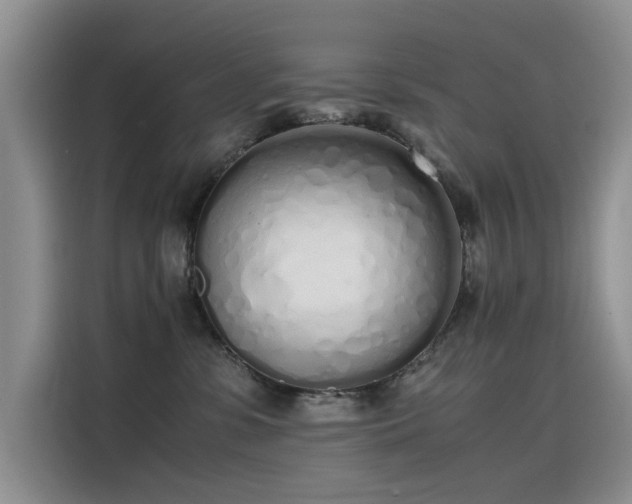 X0000115620331200911171321