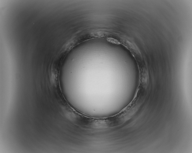 X0000115620332200911171321