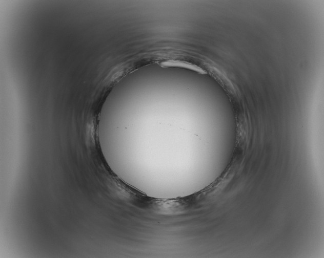 X0000115620333200911171321