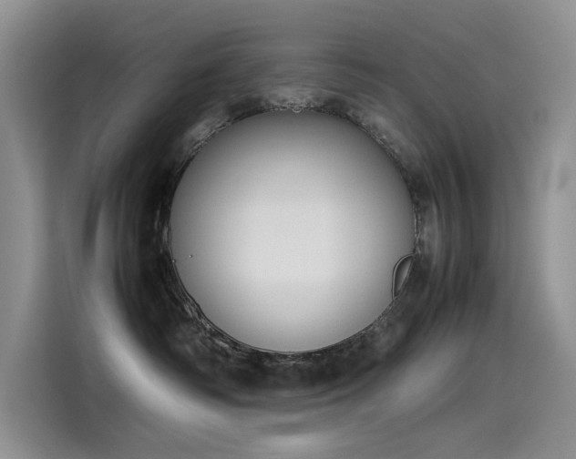 X0000115620334200911171321