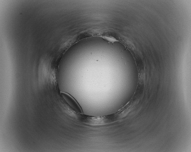 X0000115620335200911171321