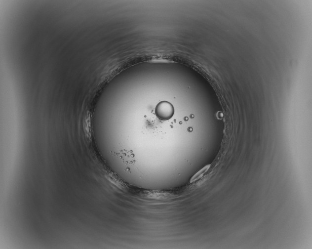 X0000115620336200911171321