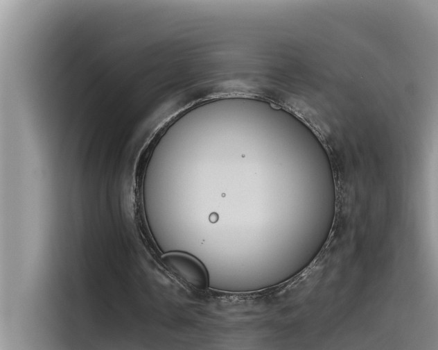 X0000115620338200911171320