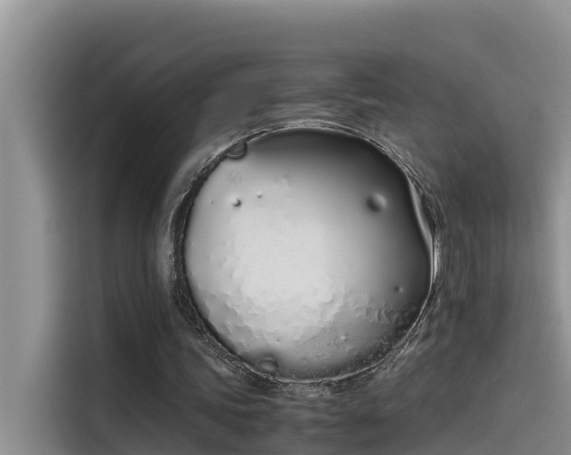 X0000115620339200911171320