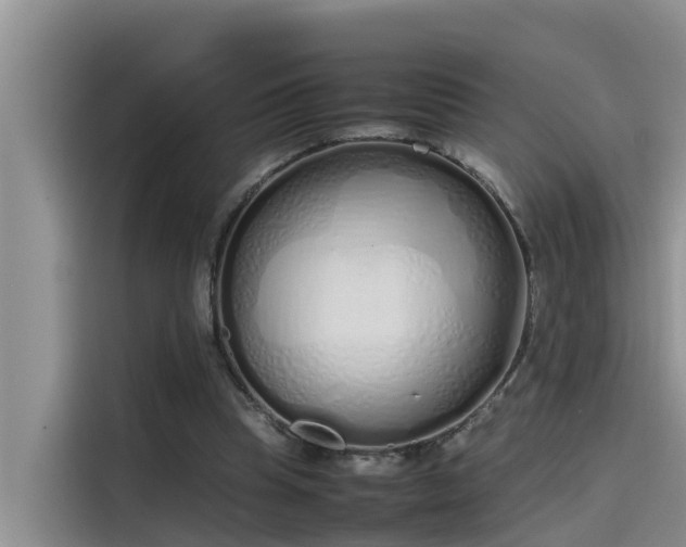 X0000115620345200911171320